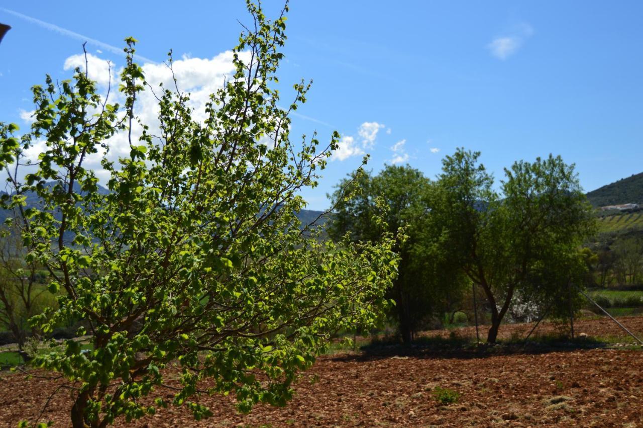 Cortijo Petra Villanueva del Rosario Exterior foto