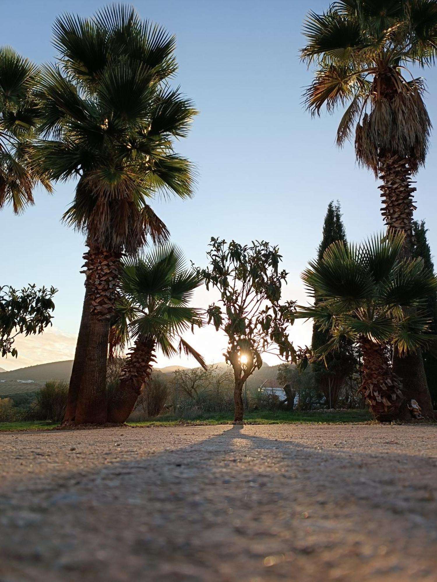 Cortijo Petra Villanueva del Rosario Exterior foto